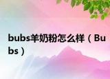 bubs羊奶粉怎么樣（Bubs）