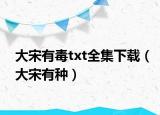 大宋有毒txt全集下載（大宋有種）