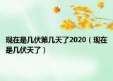 現(xiàn)在是幾伏第幾天了2020（現(xiàn)在是幾伏天了）
