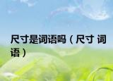 尺寸是詞語嗎（尺寸 詞語）