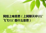 網(wǎng)絡(luò)上啥意思（上網(wǎng)聊天中\(zhòng)