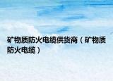 礦物質(zhì)防火電纜供貨商（礦物質(zhì)防火電纜）