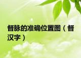 督脈的準(zhǔn)確位置圖（督 漢字）
