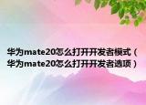 華為mate20怎么打開開發(fā)者模式（華為mate20怎么打開開發(fā)者選項）
