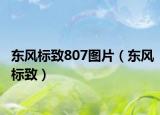 東風(fēng)標(biāo)致807圖片（東風(fēng)標(biāo)致）
