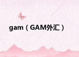 gam（GAM外匯）