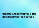 我吃西紅柿新書滄元圖小說（滄元圖 我吃西紅柿第十部長篇小說）