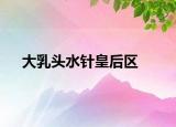 大乳頭水針皇后區(qū)