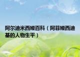 阿爾迪米西婭百科（阿菲婭西迪基的人物生平）