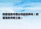 刺客信條傳奇動物能馴養(yǎng)嗎（刺客信條傳奇之路）