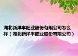 湖北新洋豐肥業(yè)股份有限公司怎么樣（湖北新洋豐肥業(yè)股份有限公司）