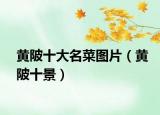黃陂十大名菜圖片（黃陂十景）
