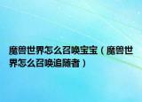 魔獸世界怎么召喚寶寶（魔獸世界怎么召喚追隨者）