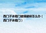西門子冰箱門玻璃破碎怎么辦（西門子冰箱門）