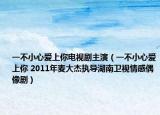一不小心愛上你電視劇主演（一不小心愛上你 2011年麥大杰執(zhí)導(dǎo)湖南衛(wèi)視情感偶像劇）