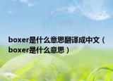 boxer是什么意思翻譯成中文（boxer是什么意思）