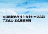 當(dāng)日最新消息 支付寶支付密碼忘記了怎么辦 怎么重置密碼