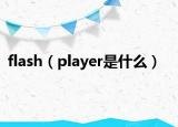 flash（player是什么）