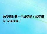 教學(xué)相長(zhǎng)是一個(gè)成語(yǔ)嗎（教學(xué)相長(zhǎng) 漢語(yǔ)成語(yǔ)）