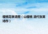 櫻桃花李清照（山櫻桃 清代張英詩作）