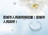 宣城市人民政府胡啟望（宣城市人民政府）