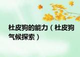 杜皮狗的能力（杜皮狗氣候探索）