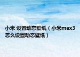 小米 設(shè)置動態(tài)壁紙（小米max3怎么設(shè)置動態(tài)壁紙）