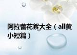 阿拉蕾花絮大全（all黃小短篇）