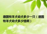 德國牧羊犬幼犬多少一只（德國牧羊犬幼犬多少錢?。? /></span></a>
                        <h2><a href=