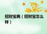 招財寶典（招財寶怎么樣）