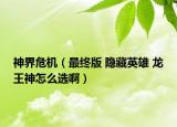 神界危機（最終版 隱藏英雄 龍王神怎么選啊）