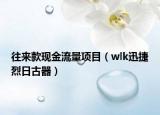 往來款現(xiàn)金流量項(xiàng)目（wlk迅捷烈日古器）