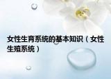 女性生育系統(tǒng)的基本知識(shí)（女性生殖系統(tǒng)）