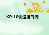 KP-10快速排氣閥