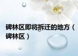 碑林區(qū)即將拆遷的地方（碑林區(qū)）