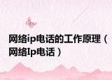 網(wǎng)絡(luò)ip電話的工作原理（網(wǎng)絡(luò)Ip電話）