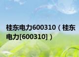 桂東電力600310（桂東電力[600310]）