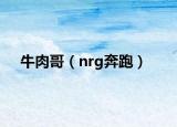 牛肉哥（nrg奔跑）