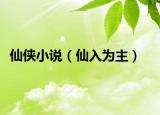 仙俠小說(shuō)（仙入為主）