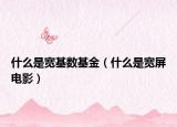 什么是寬基數(shù)基金（什么是寬屏電影）