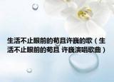 生活不止眼前的茍且許巍的歌（生活不止眼前的茍且 許巍演唱歌曲）