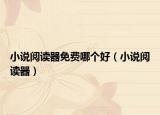 小說閱讀器免費哪個好（小說閱讀器）