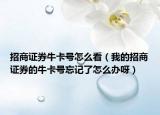 招商證券牛卡號怎么看（我的招商證券的?？ㄌ柾浟嗽趺崔k呀）