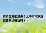 青青世界的景點（上海青青旅游世界景點好玩嗎）