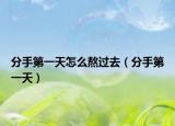 分手第一天怎么熬過去（分手第一天）