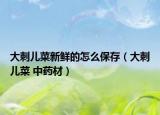 大刺兒菜新鮮的怎么保存（大刺兒菜 中藥材）