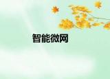 智能微網(wǎng)