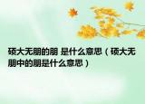 碩大無朋的朋 是什么意思（碩大無朋中的朋是什么意思）