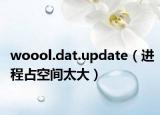 woool.dat.update（進(jìn)程占空間太大）