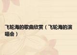 飛輪海的歌曲欣賞（飛輪海的演唱會(huì)）